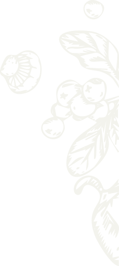 brand-two-shape-1.png